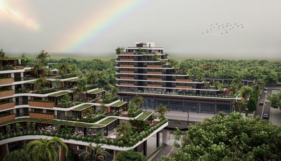 Altıntaş 1+1 Daire